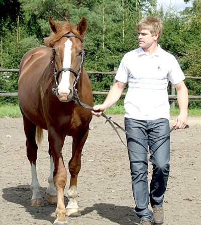 Aretaja Andres Vaani sõnul on Portugal ideaalilähedane kõikide tunnuste poolest. Foto: Katrin Pärnpuu, 20.august 2011.a.